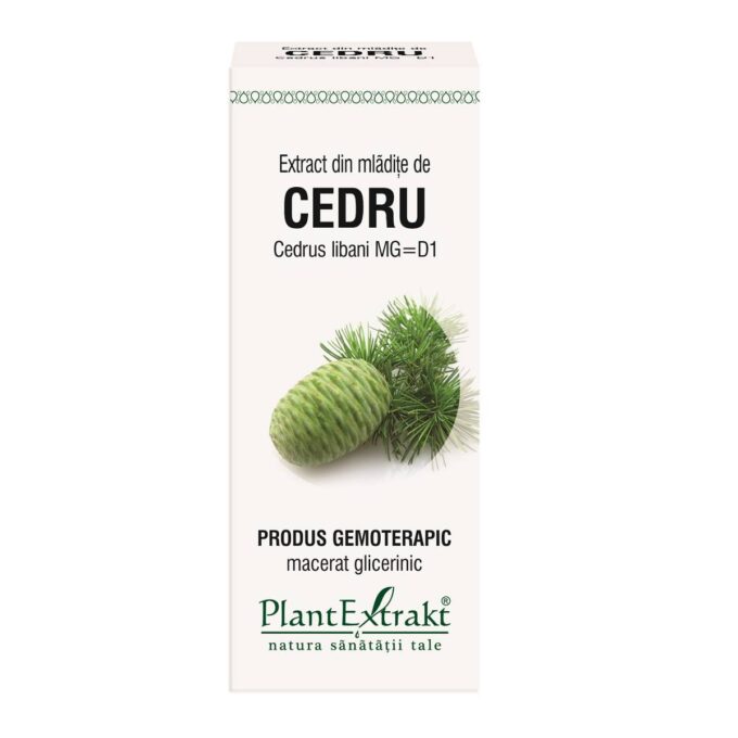CEDRU - mladite - gemoderivat - 50ml - PlantExtrakt