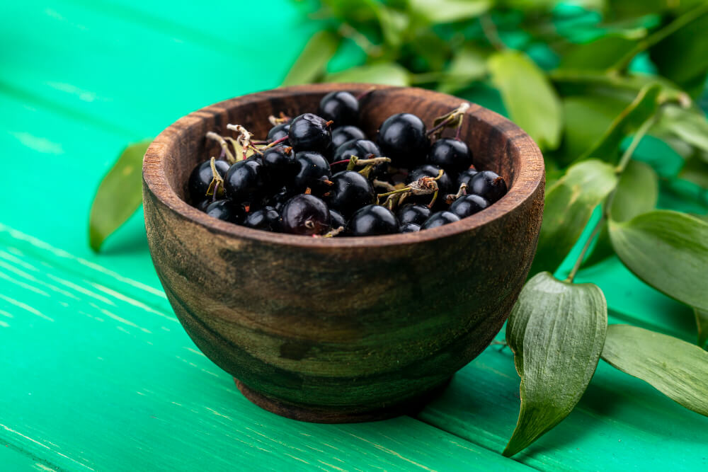 Produse Aronia Charlottenburg: beneficii, utilizari si cele mai cautate produse naturale din gama