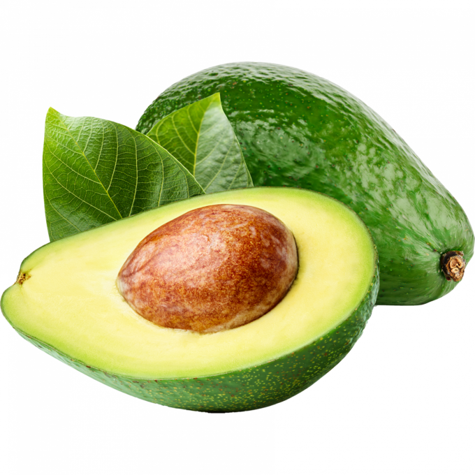 Avocado Creta Ecologic